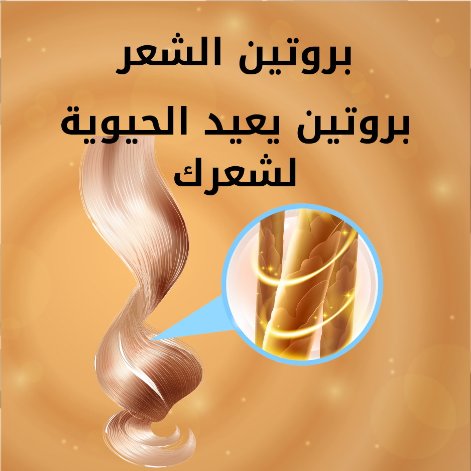 بروتين الشعر